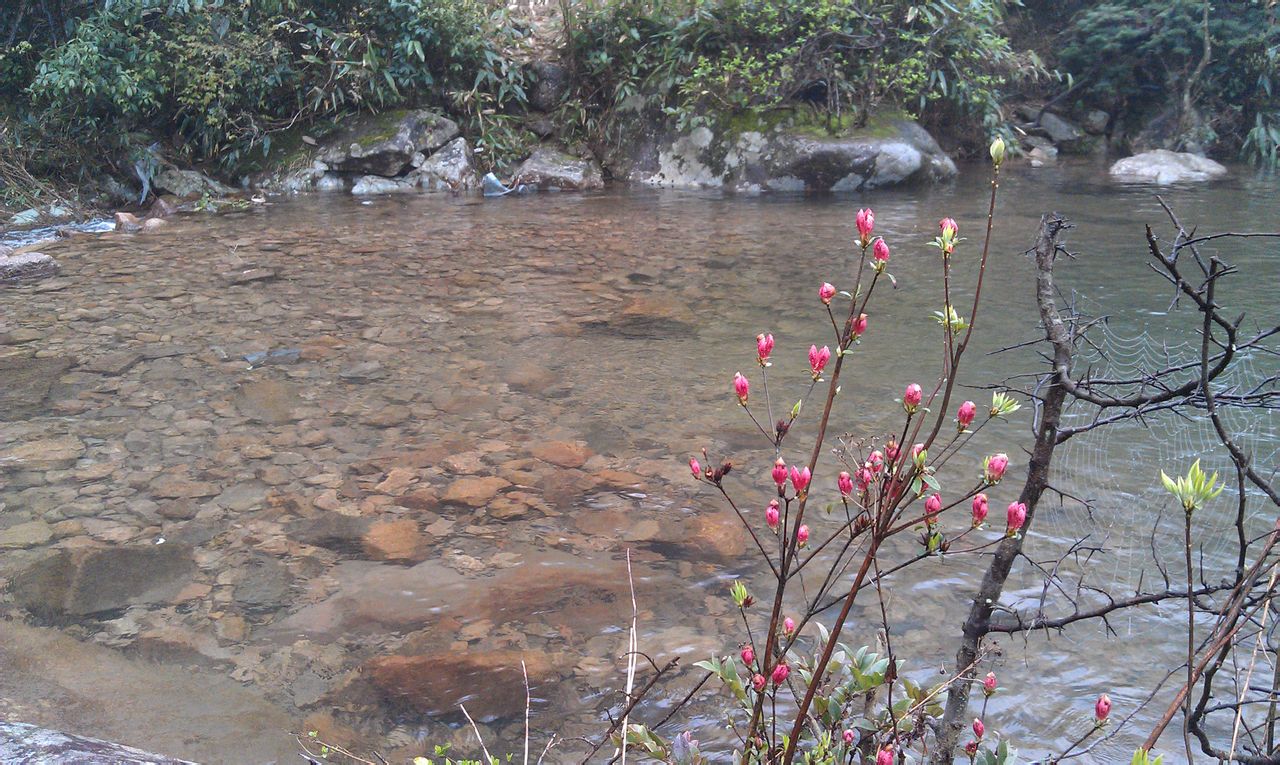 遂昌县应村村